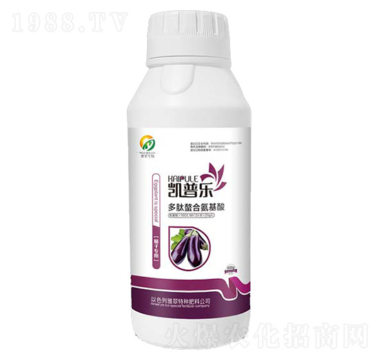 ���ӌ�(zhu��n)�ö������ϰ�����-�P�՘�(l��)-�Ŵ�����