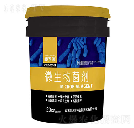 ΢-B(yng)Դ-