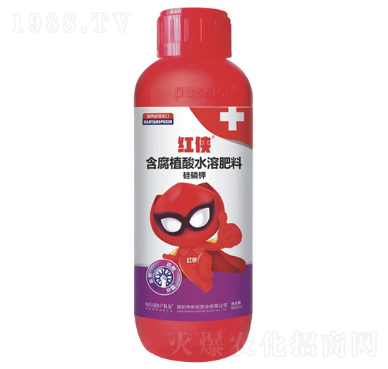 �t�b-�������a��-�����ʘI(y��)