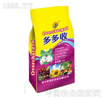 ������-�����