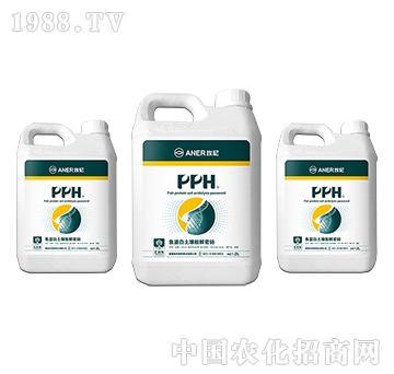 PPH-~(y)ܴa-Խ