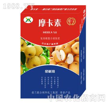䌣ðҺķ-Ħ-(qing)оH