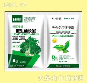 �������L(zh��ng)��+������ߴپG��-嫘���