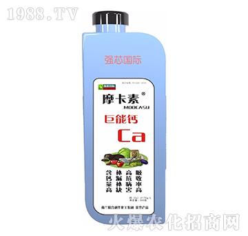 }-Ħ-(qing)о(gu)H