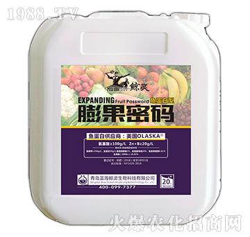 魚蛋白型膨果密碼（20kg）-鯨靈-新啟力