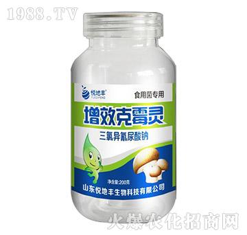 ʳþ(zhun)-Чù`-S