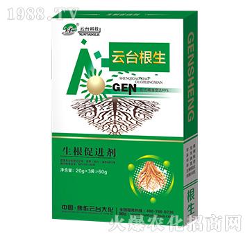 云臺(tái)根生-云臺(tái)大化