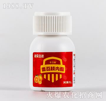 ֦(ni)֬-ǧ䣨20g-h(yun)Ҋ(jin)_(d)-ЙC(j)S