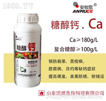 �Ǵ��}-ힲ�����