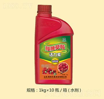 ���Ҳ�ݮ������-�fȪ�r(n��ng)��