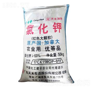 紅色大顆粒氯化鉀-煜源肥業(yè)