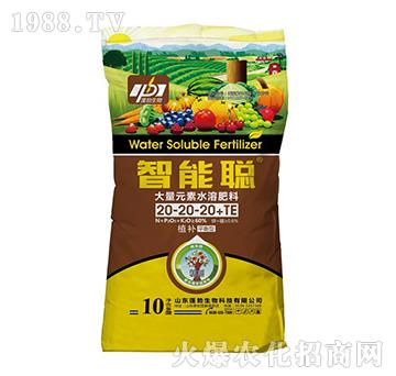ƽ���ʹ���Ԫ��ˮ�ܷ�20-20-20+TE-����-�����