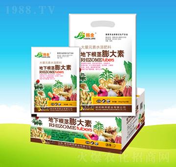 地下根莖膨大素-韓邦肥業(yè)