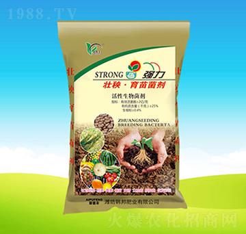 �������������-�n��ʘI(y��)