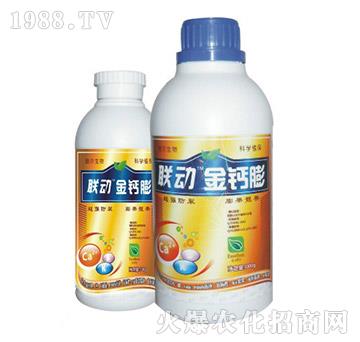 ���}��-(li��n)��(d��ng)-� �����