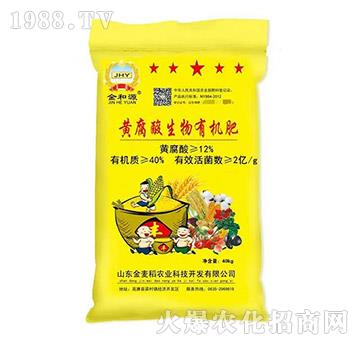 �S���������ЙC��-������