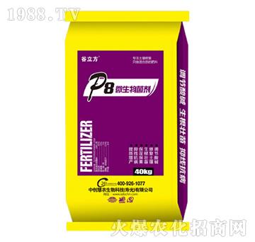 P8΢--Є(chung)r(nng)
