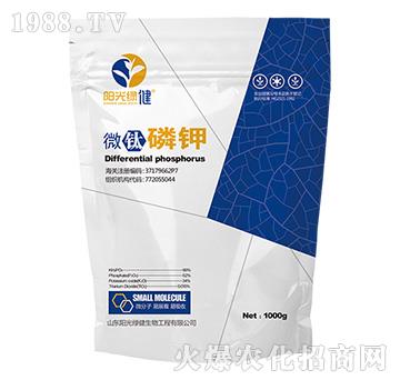 ΢����-ꖹ�G��