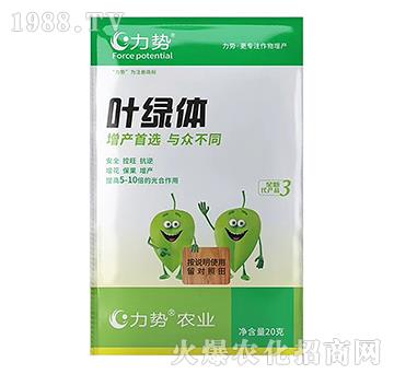 �~�G�w-����-������