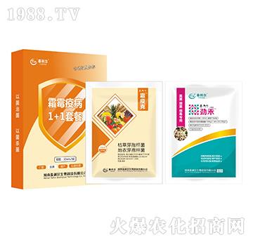 ˪ù�߲�1+1�ײ�-̩����