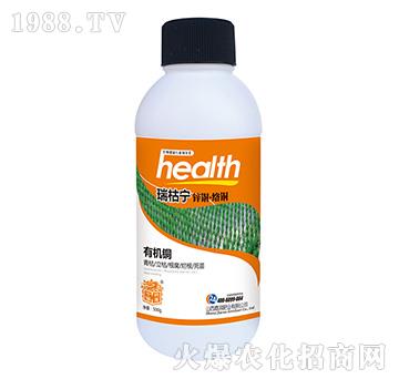 ��݌�-�Ν��ʘI(y��)