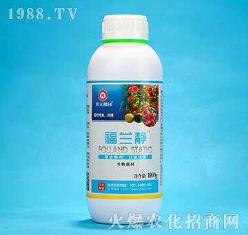 ���m�o��1000g��-