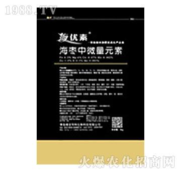 ������΢��Ԫ��-�S������