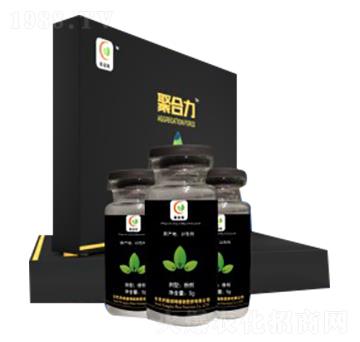 �ۺ���-����ķ