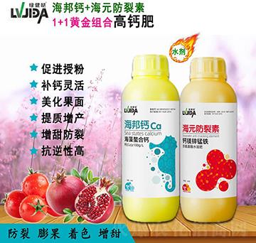 ���������}+�}�V�\�i�F-������