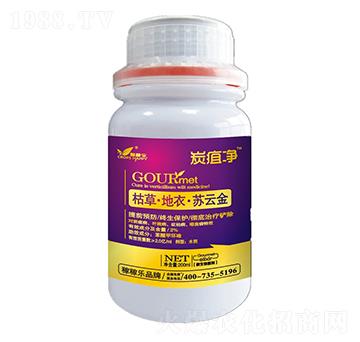 �ݲݡ����¡��K�ƽ�-̿�҃�-�ڼژ�