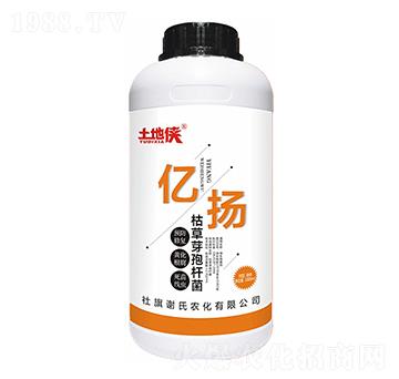 �|�P���ݲ�ѿ�ߗU����-���؂b-�x���r��