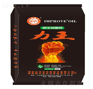 ΢�������-����-�Ɲ�