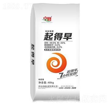 ���ĵ���-�����-׿��