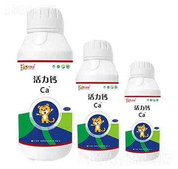 �����}-��˹��