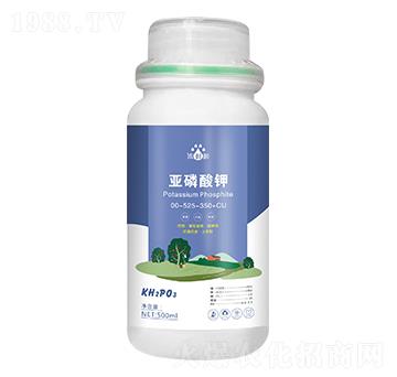 �������-��p�p-�������