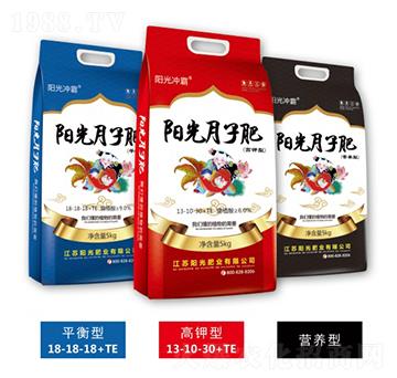 ꖹ����ӷ�-ꖹ�_��-