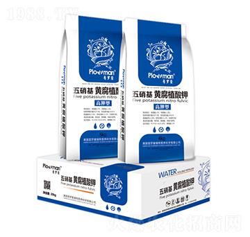 �������S��ֲ���-���_��-ꖹ�ʘI(y��)