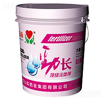L(zhng)-Č(sh)F(tun)