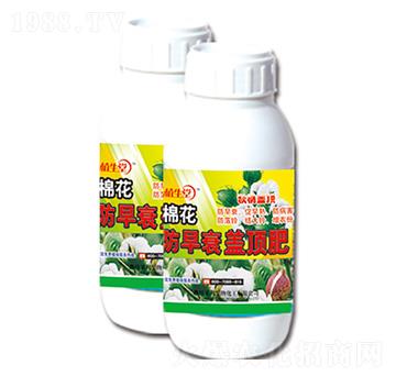 棉花防早衰蓋頂肥 植生堂 萊利生物