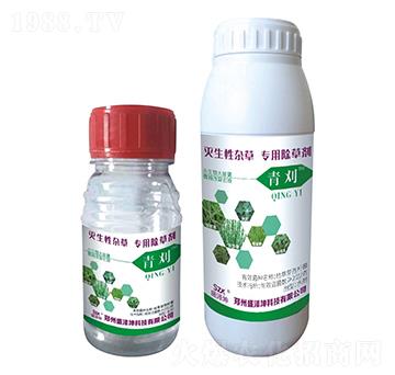 s݌(zhun)ó݄  ʢ