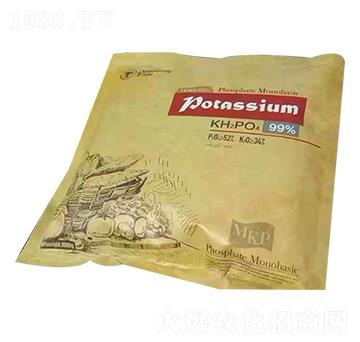 �������� ��ǧ�t