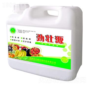 �ŉ�Դ-������