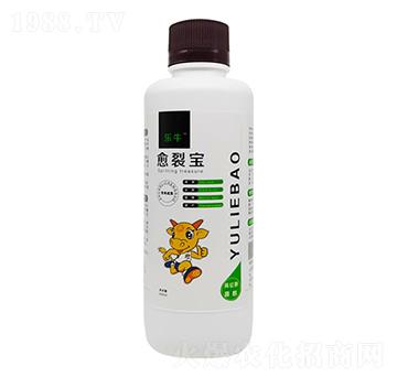 ь-ţ-\I(lng)
