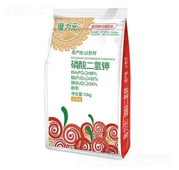 ��������-ħ��Ԫ-��T����