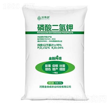 20kg��������-���Є�-���ճ�