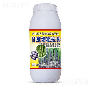 500mlL(zhng)