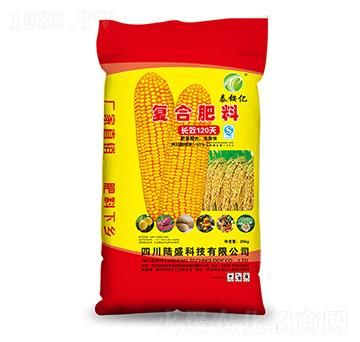 ��(f��)�Ϸ���-̩�@�|-�ʢ�Ƽ�