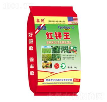 �t���-�Έ@-�����߷�