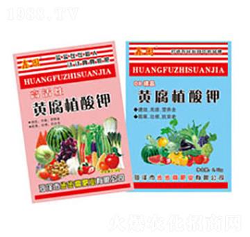 �S��ֲ���-�Έ@-����