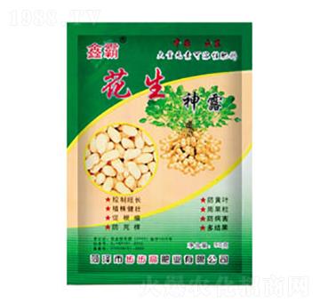 ������¶-�ΰ�-������